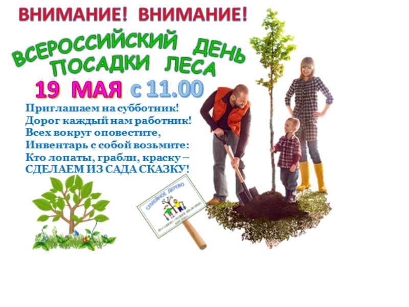 Песня я посадил дерево. Всероссийский день посадки леса. Всемирный день посадки деревьев. 14 Мая Всемирный день посадки леса. Всероссийский день посадки леса картинки.